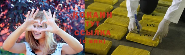 spice Алексин