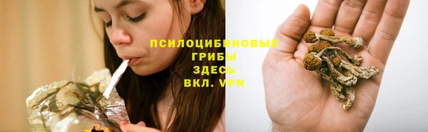 mdpv Алексеевка