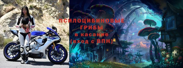 spice Алексин