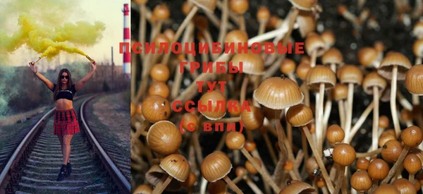 герыч Аркадак