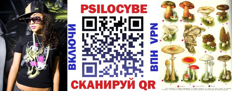 купить   Николаевск  Псилоцибиновые грибы GOLDEN TEACHER 