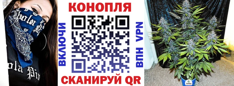 дарнет шоп Николаевск Конопля SATIVA & INDICA